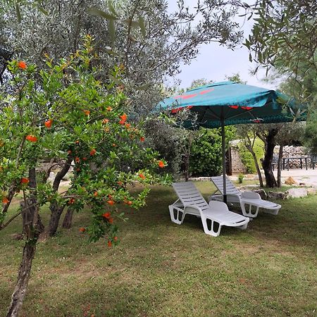 Marti'S House In The Olive Grove Leilighet Fažana Eksteriør bilde