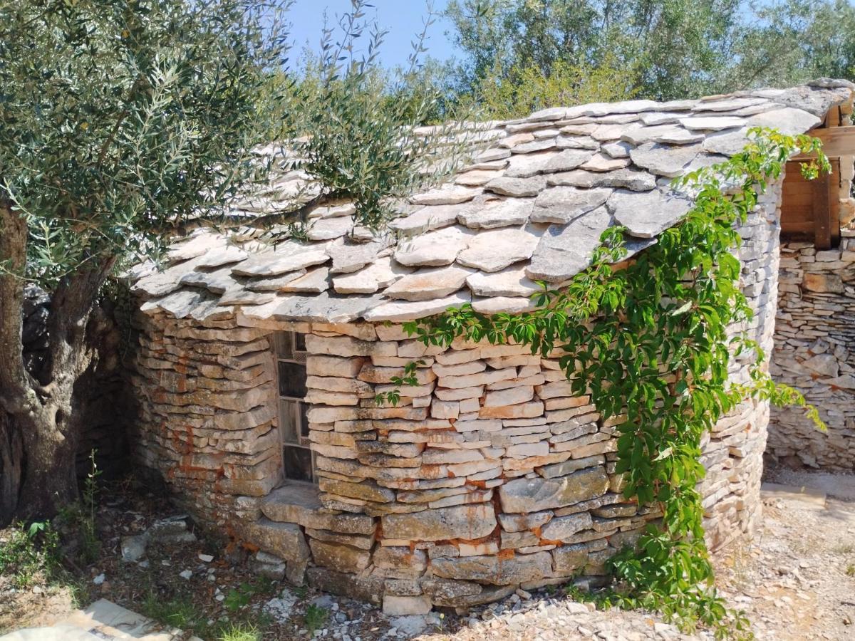 Marti'S House In The Olive Grove Leilighet Fažana Eksteriør bilde