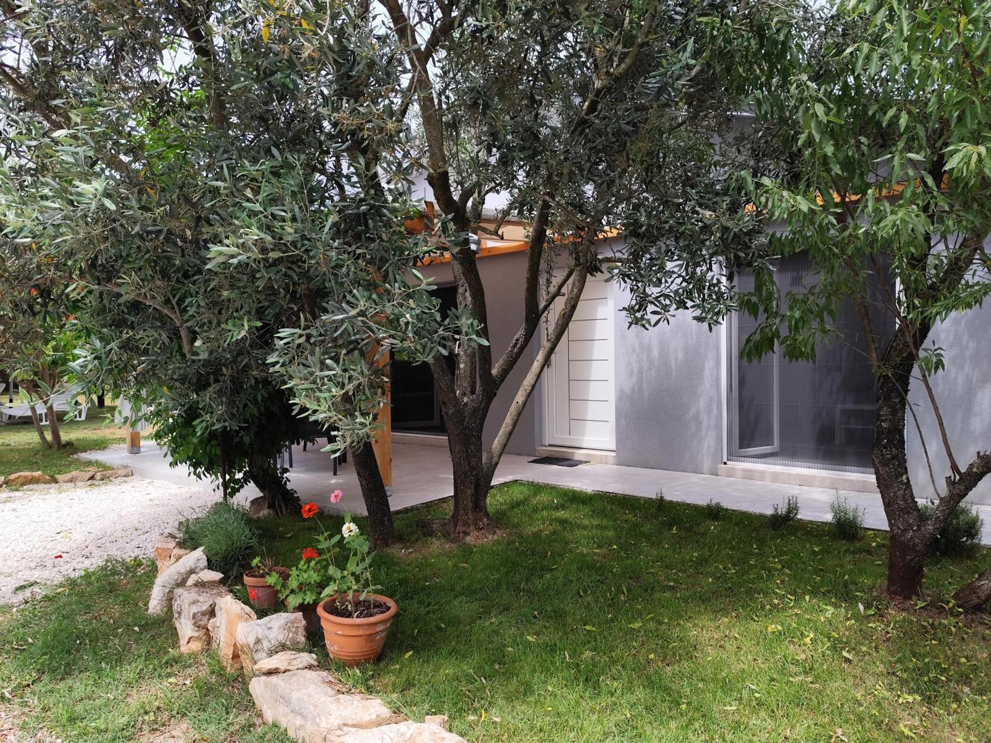 Marti'S House In The Olive Grove Leilighet Fažana Eksteriør bilde