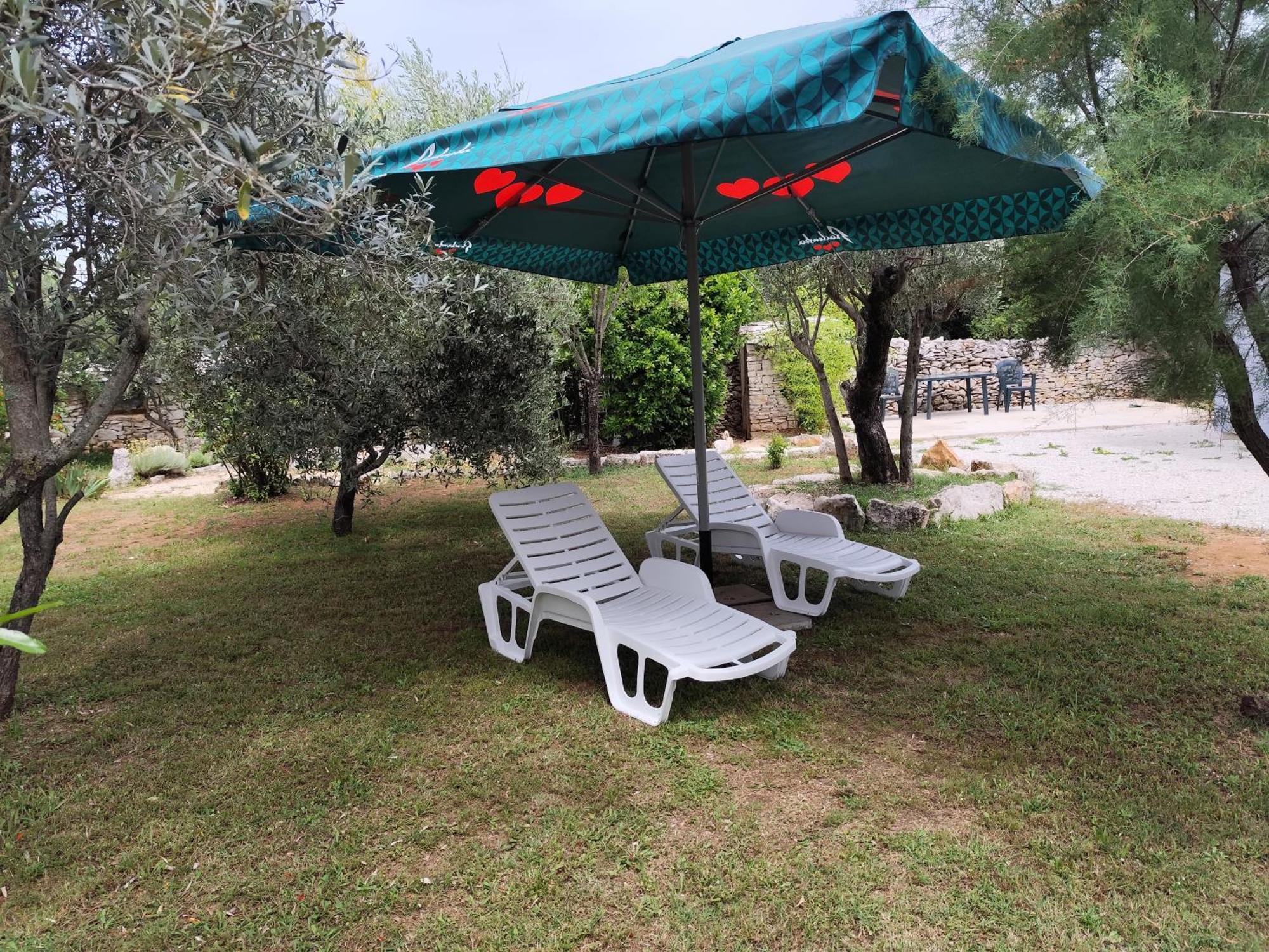Marti'S House In The Olive Grove Leilighet Fažana Eksteriør bilde