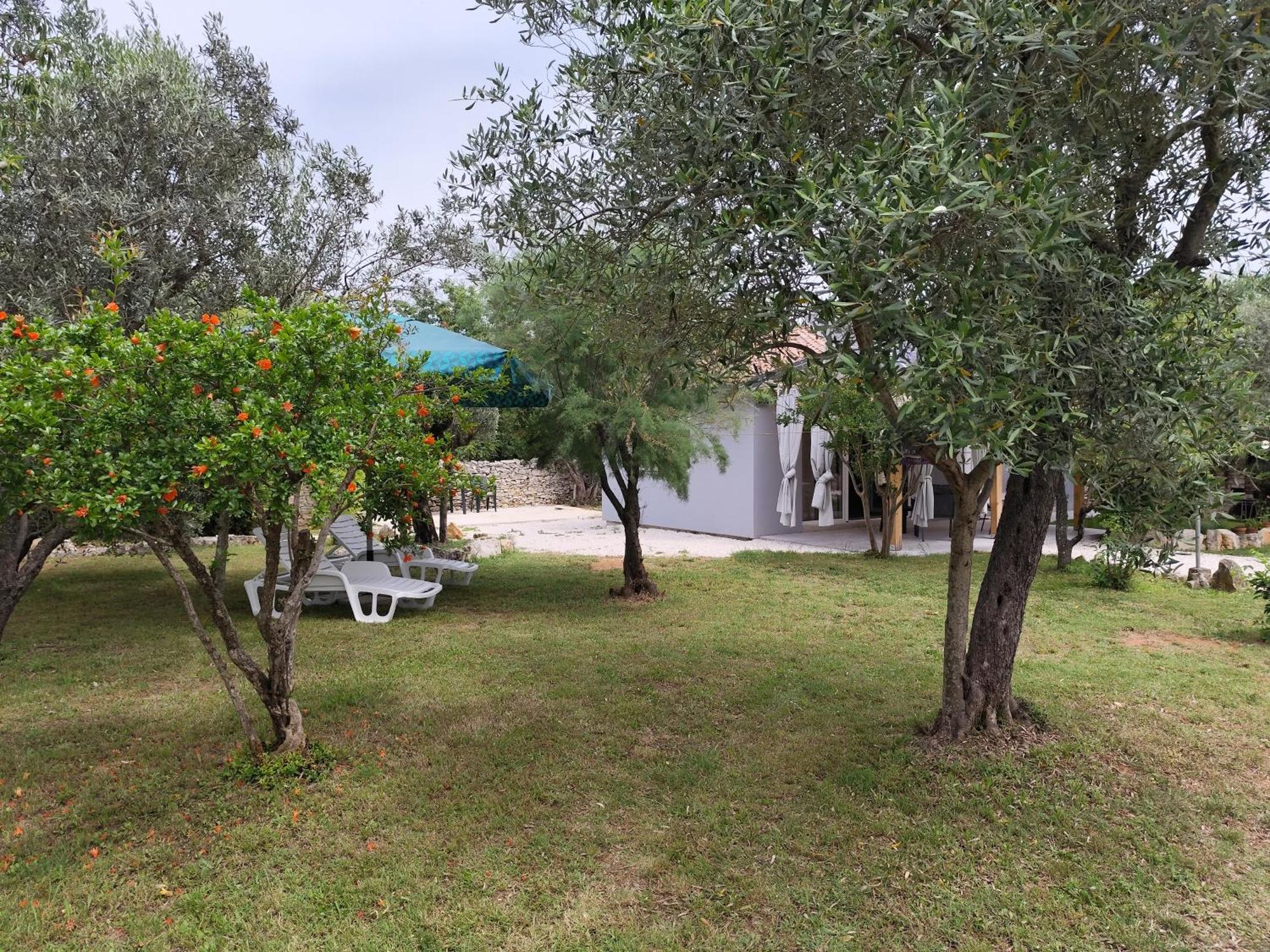 Marti'S House In The Olive Grove Leilighet Fažana Eksteriør bilde